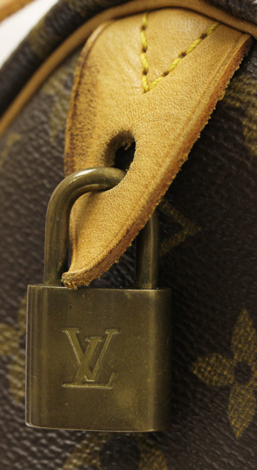 Louis Vuitton Speedy 30 Bag