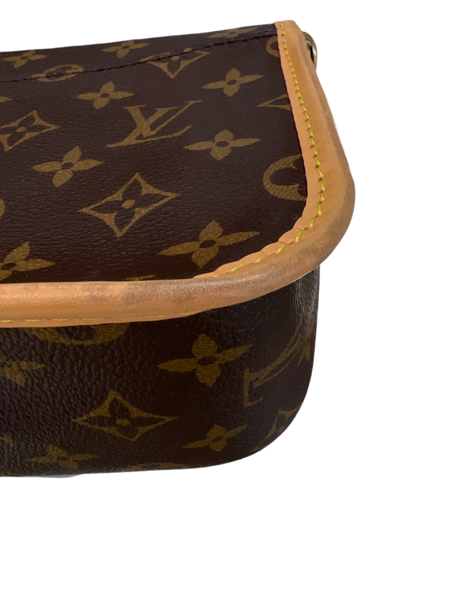 Louis Vuitton Pink Strap Monogram Diane Shoulder Bag