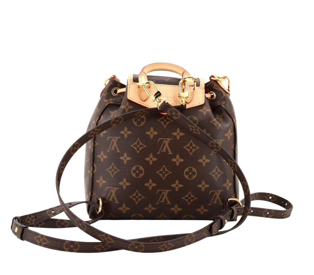 Louis Vuitton Monogram Excursion PM Backpack