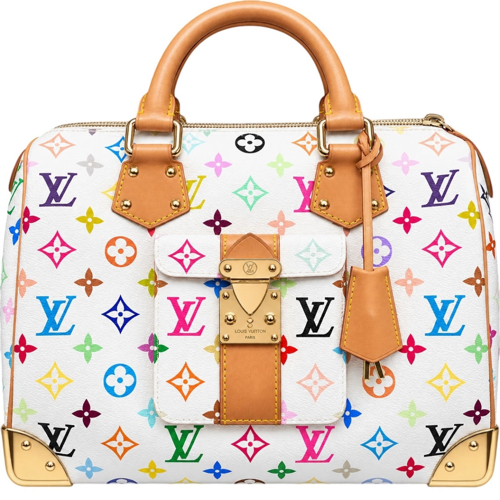 Louis Vuitton Speedy 30 Multicolor Monogram