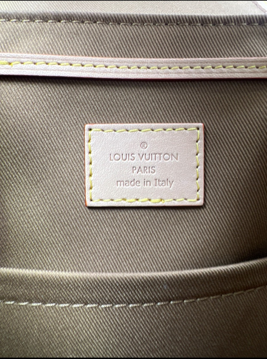 Louis Vuitton Monogram Excursion PM Backpack