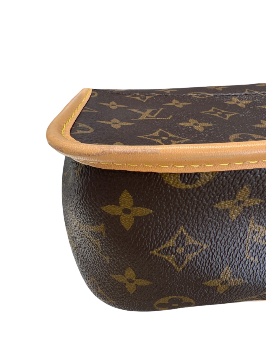 Louis Vuitton Pink Strap Monogram Diane Shoulder Bag