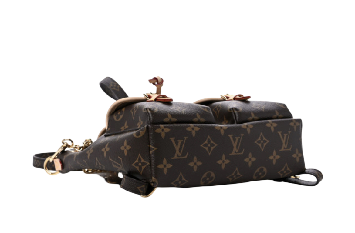 Louis Vuitton Monogram Excursion PM Backpack