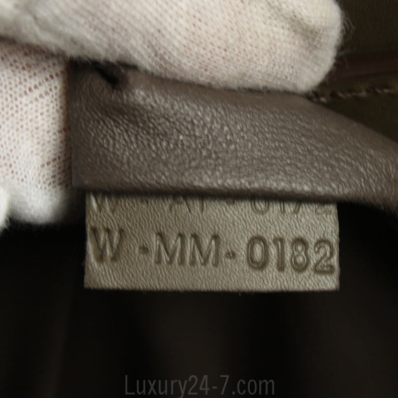 Celine Smooth Leather Tricolor Mini Luggage Tote