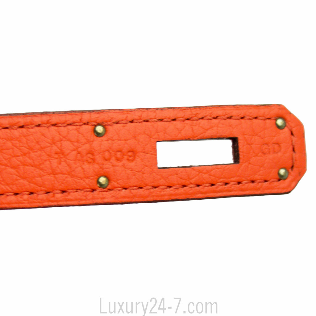 Hermes 30cm Poppy Clemence Birkin Bag