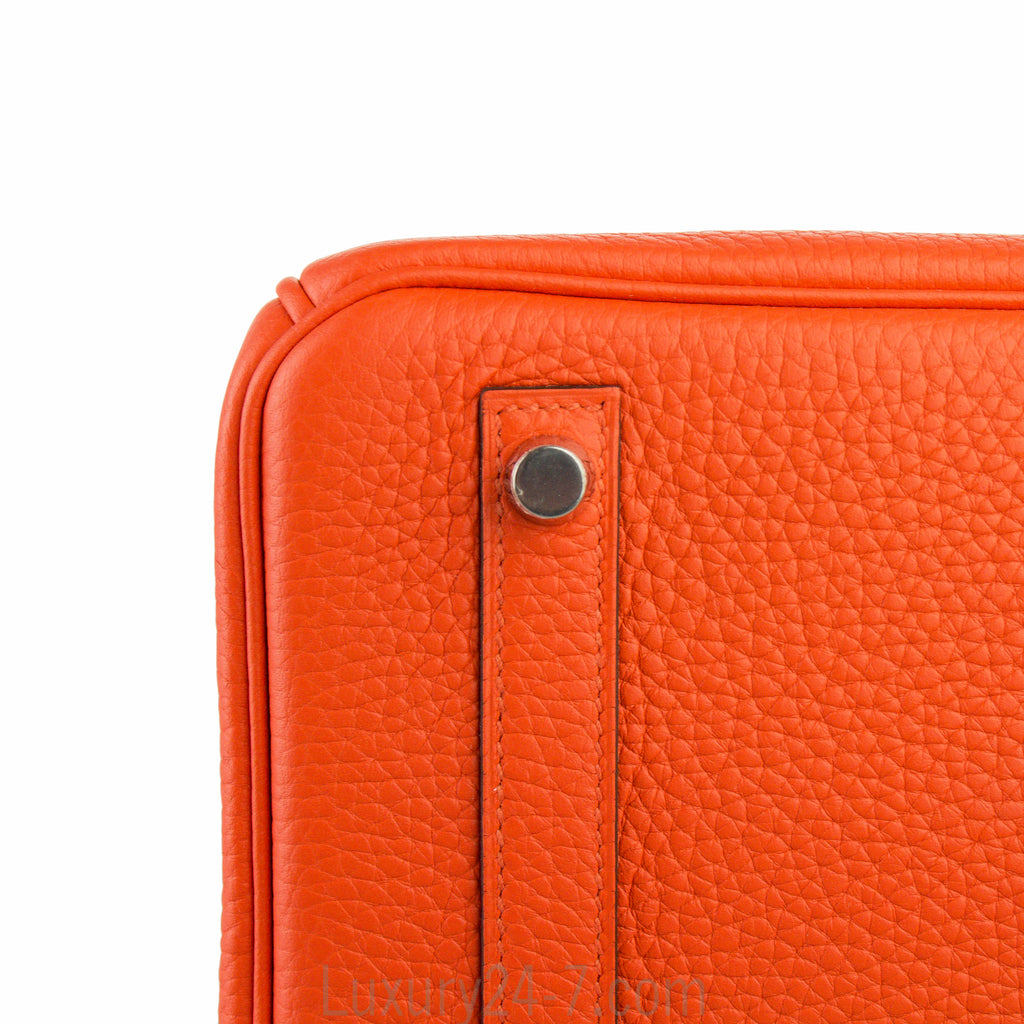 Hermes 30cm Poppy Clemence Birkin Bag