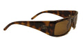 Gucci Tortoise Sunglasses