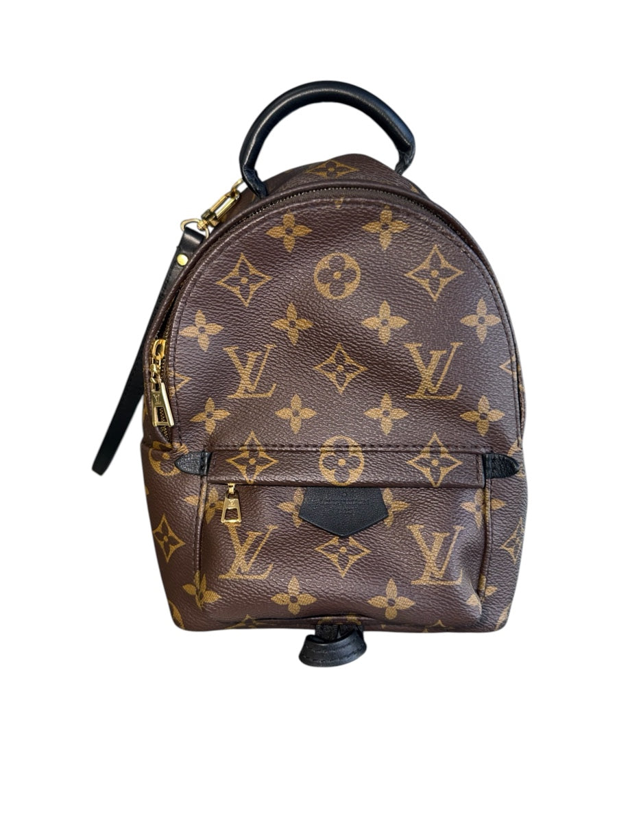 Louis Vuitton Monogram Palm Spring Backpack Mini