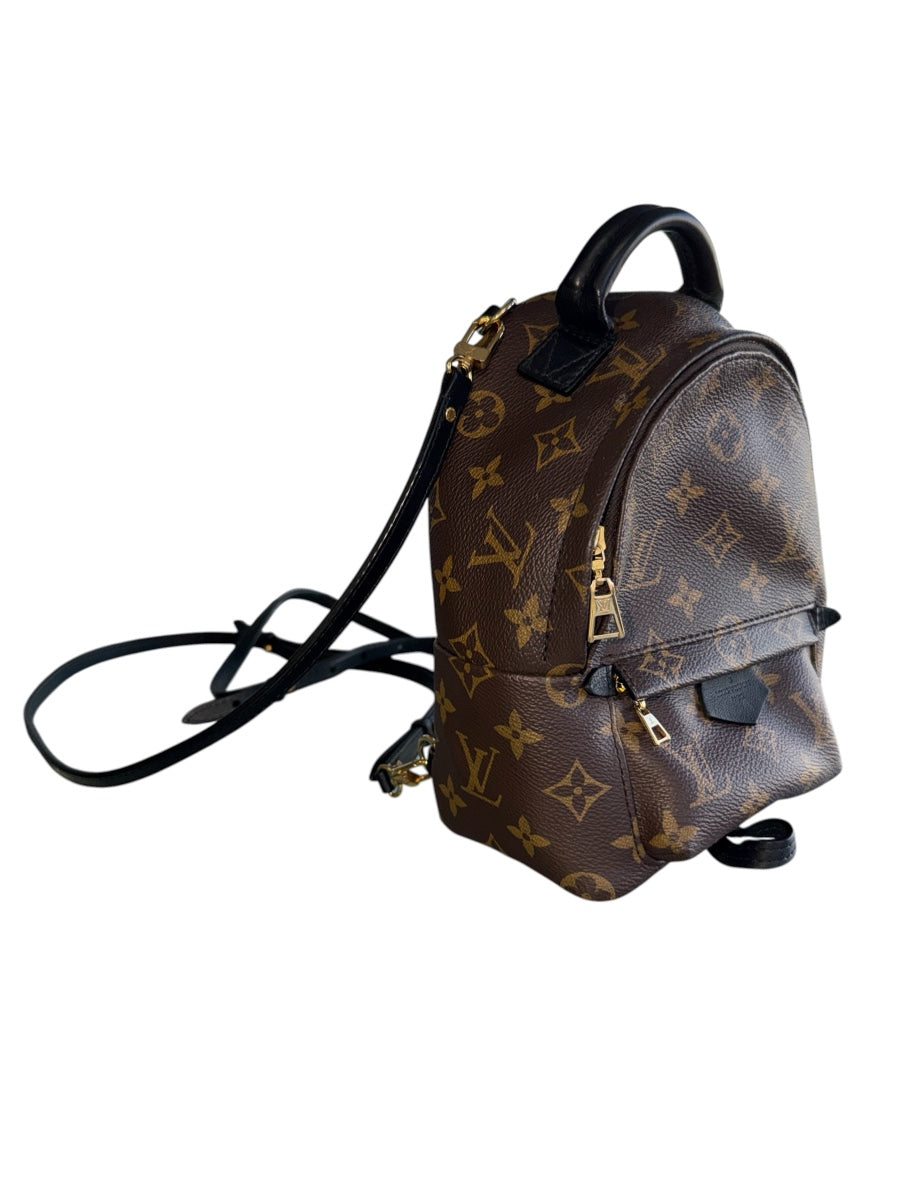 Louis Vuitton Monogram Palm Spring Backpack Mini