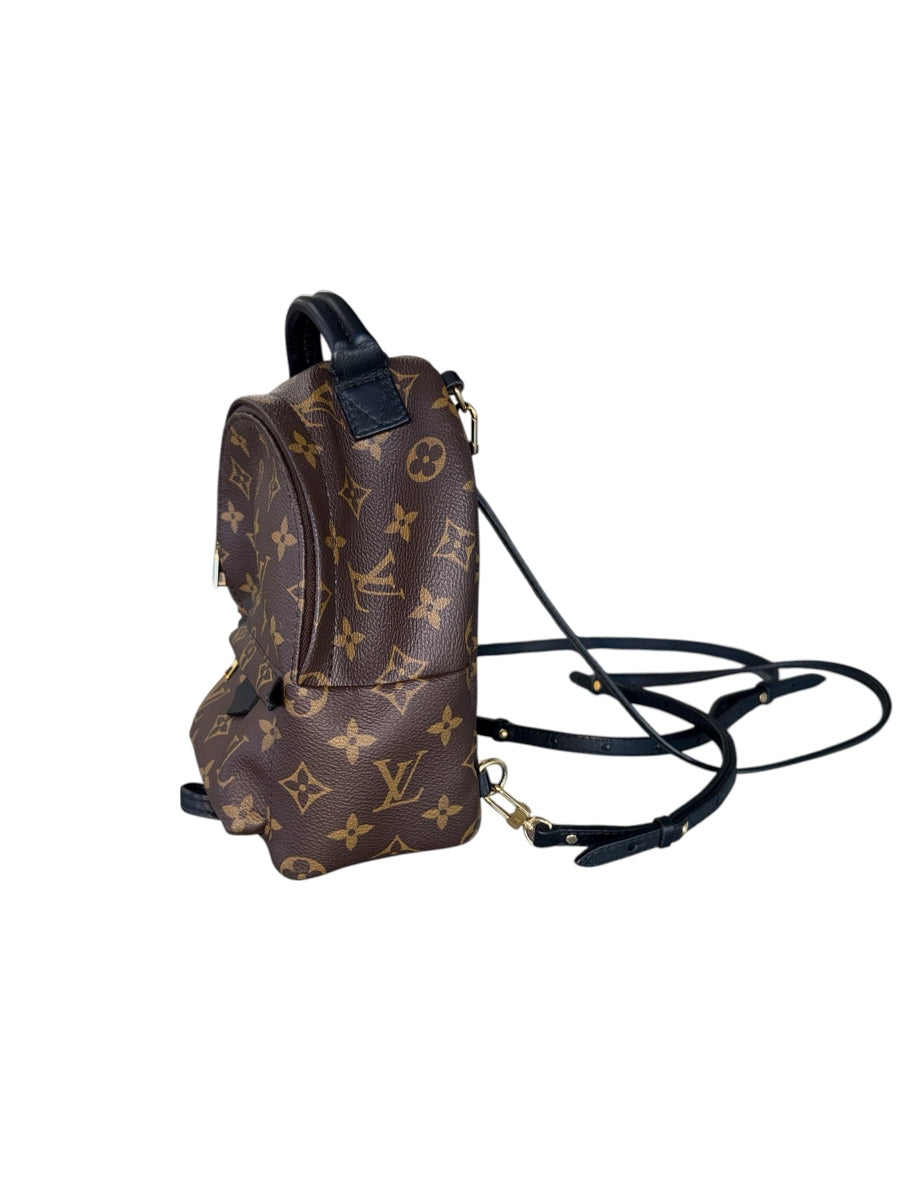 Louis Vuitton Monogram Palm Spring Backpack Mini