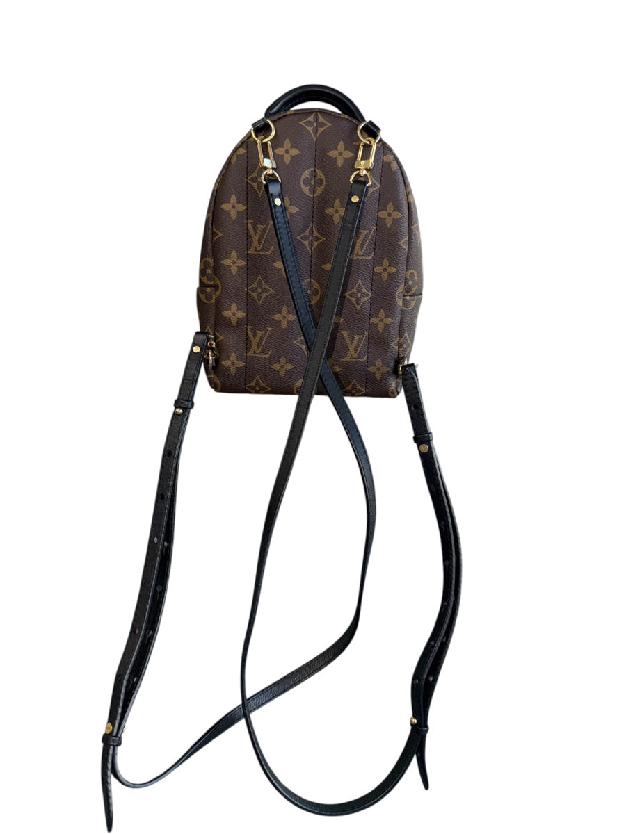 Louis Vuitton Monogram Palm Spring Backpack Mini