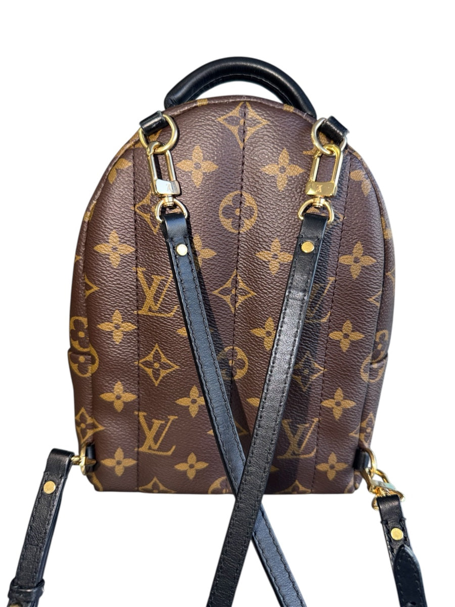 Louis Vuitton Monogram Palm Spring Backpack Mini