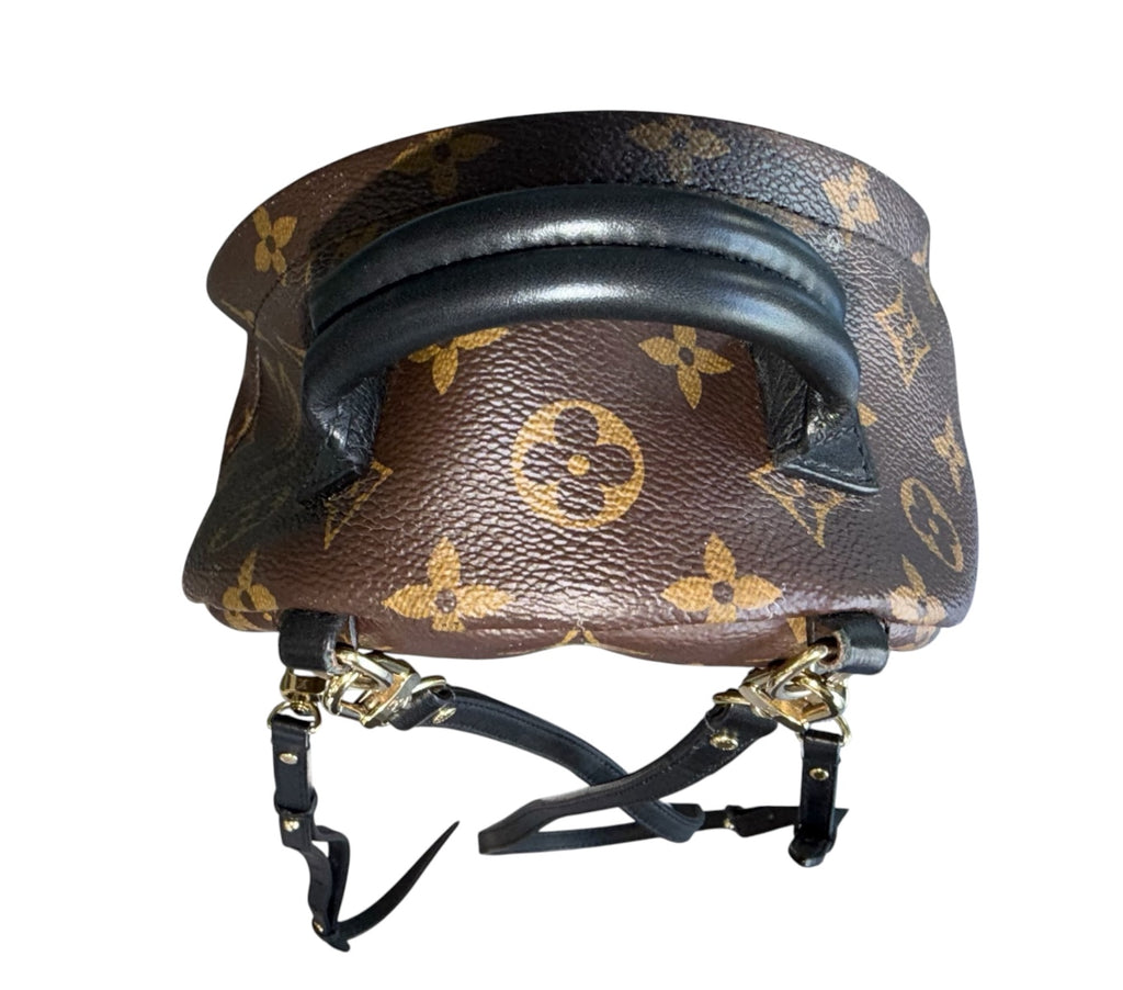 Louis Vuitton Monogram Palm Spring Backpack Mini