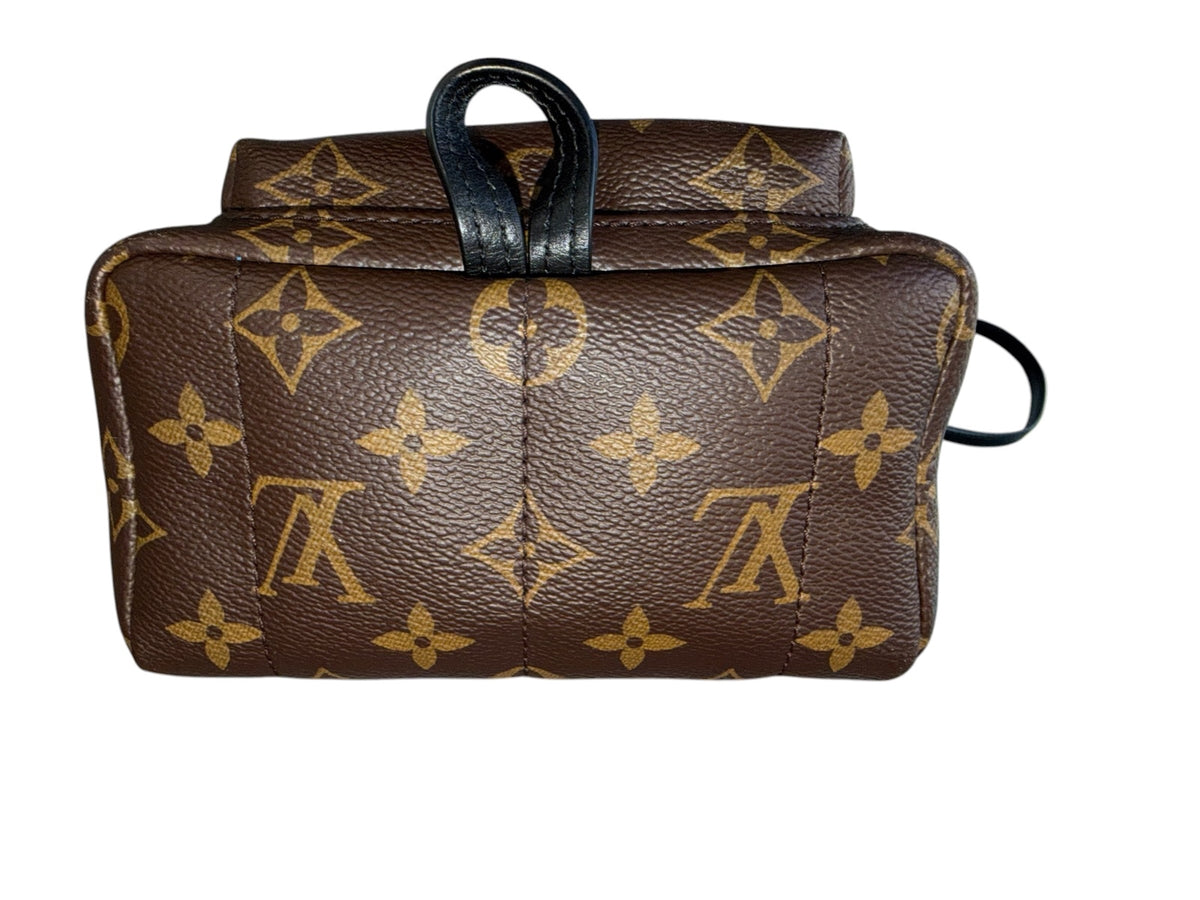 Louis Vuitton Monogram Palm Spring Backpack Mini