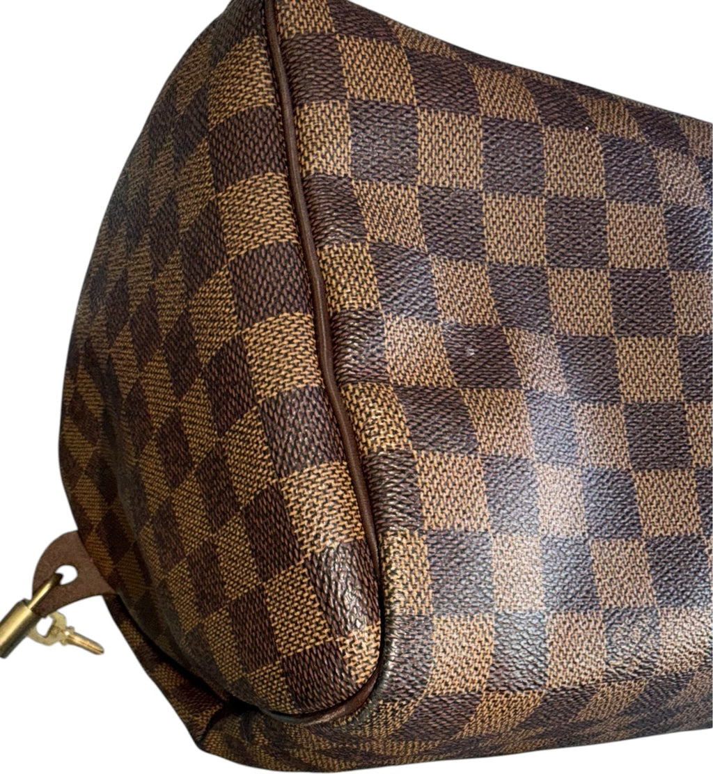 Louis Vuitton speedy 30 Damier
