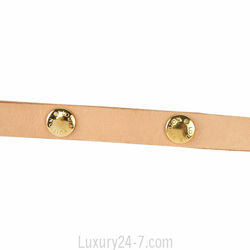 Louis Vuitton Monogram Florentine Pochette Belt Bag