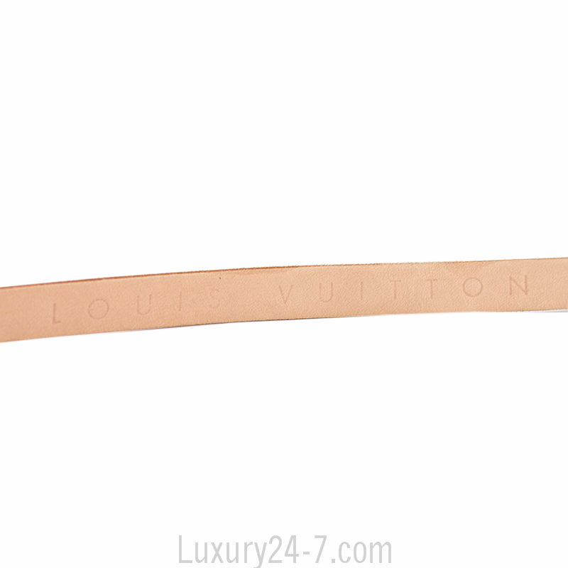 Louis Vuitton Monogram Florentine Pochette Belt Bag