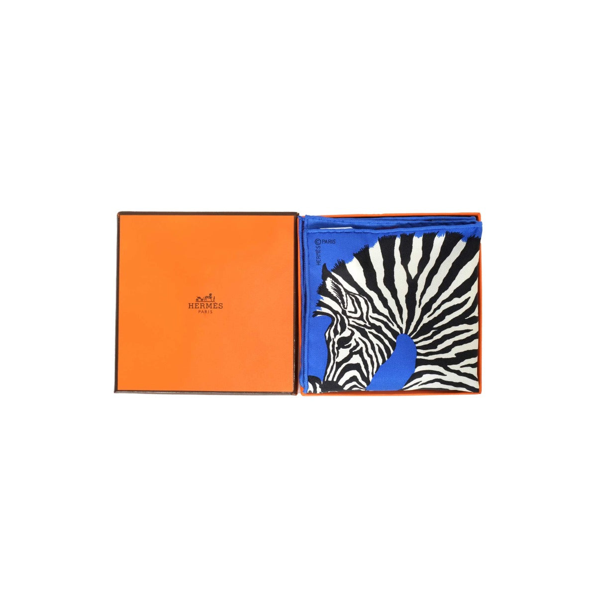 HERMÈS Zebra Pegasus Silk Scarf