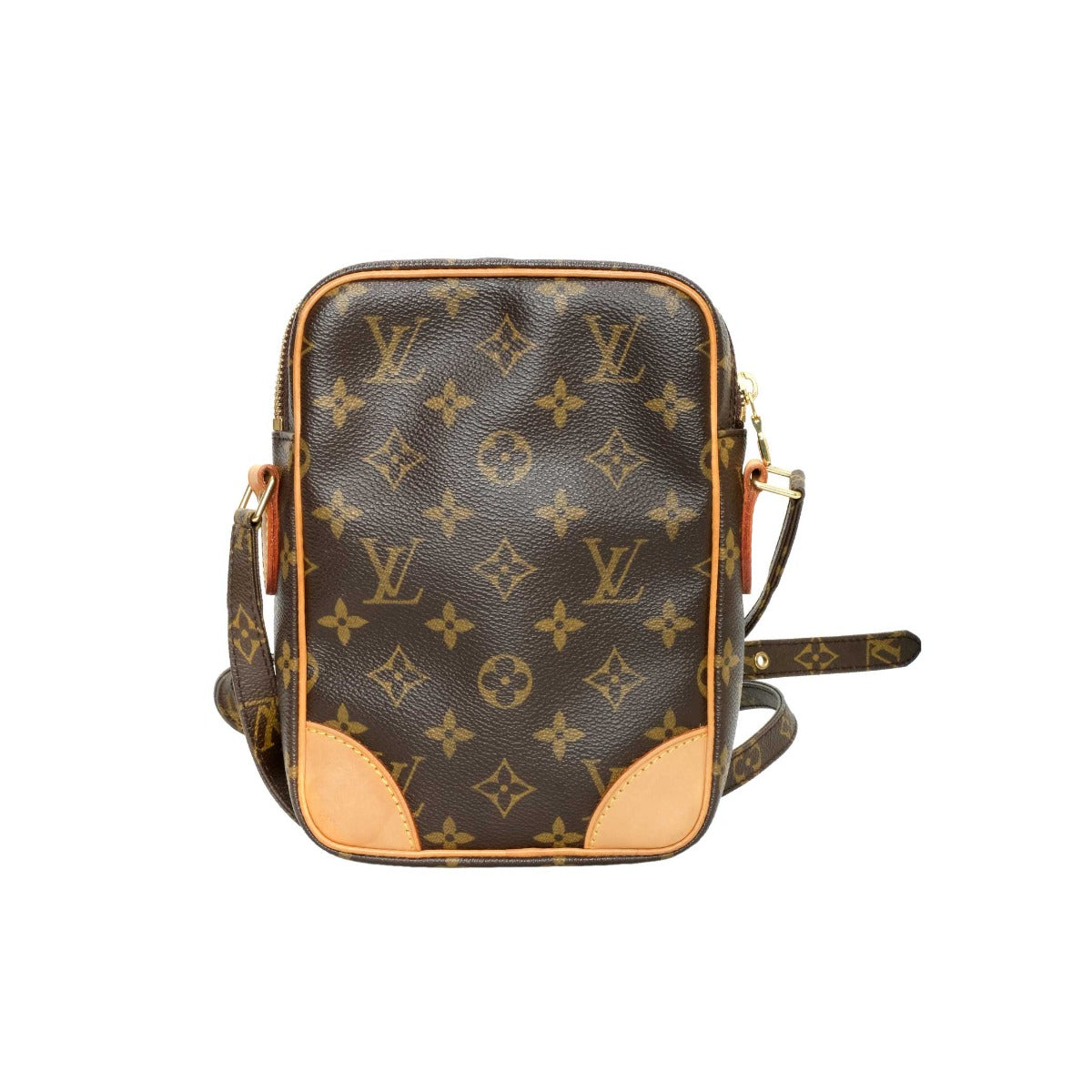 Louis Vuitton Monogram Amazon bag