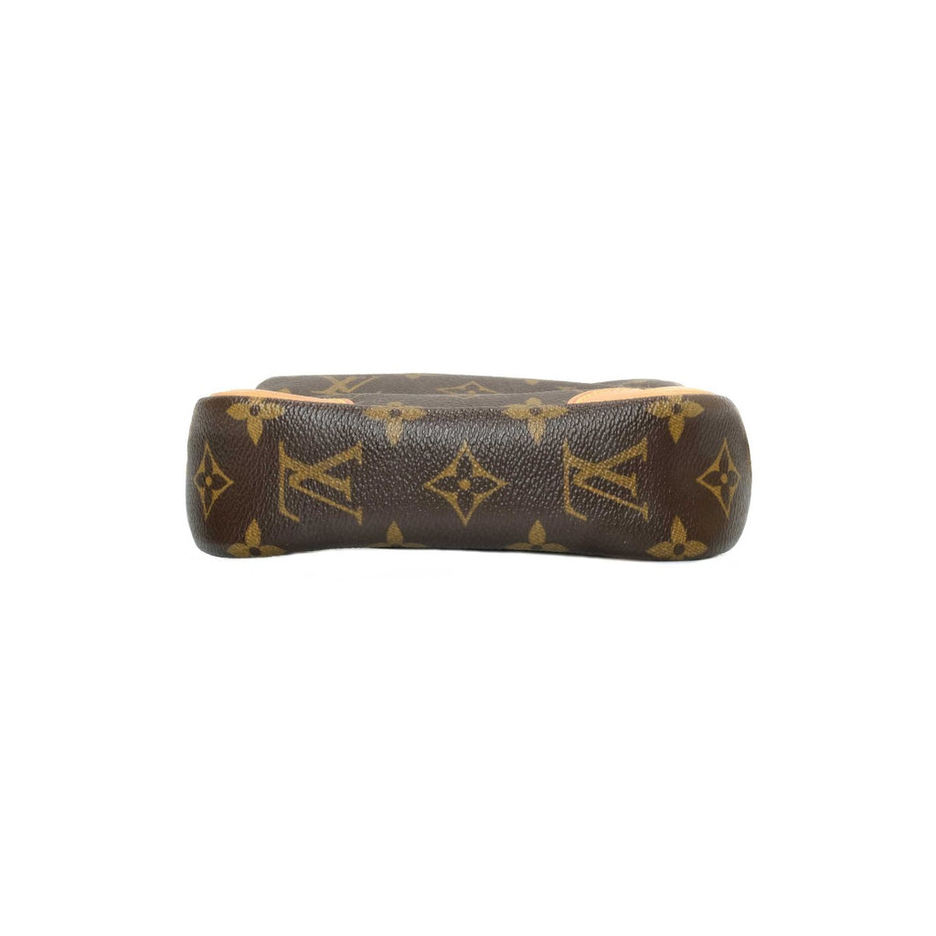 Louis Vuitton Monogram Amazon bag