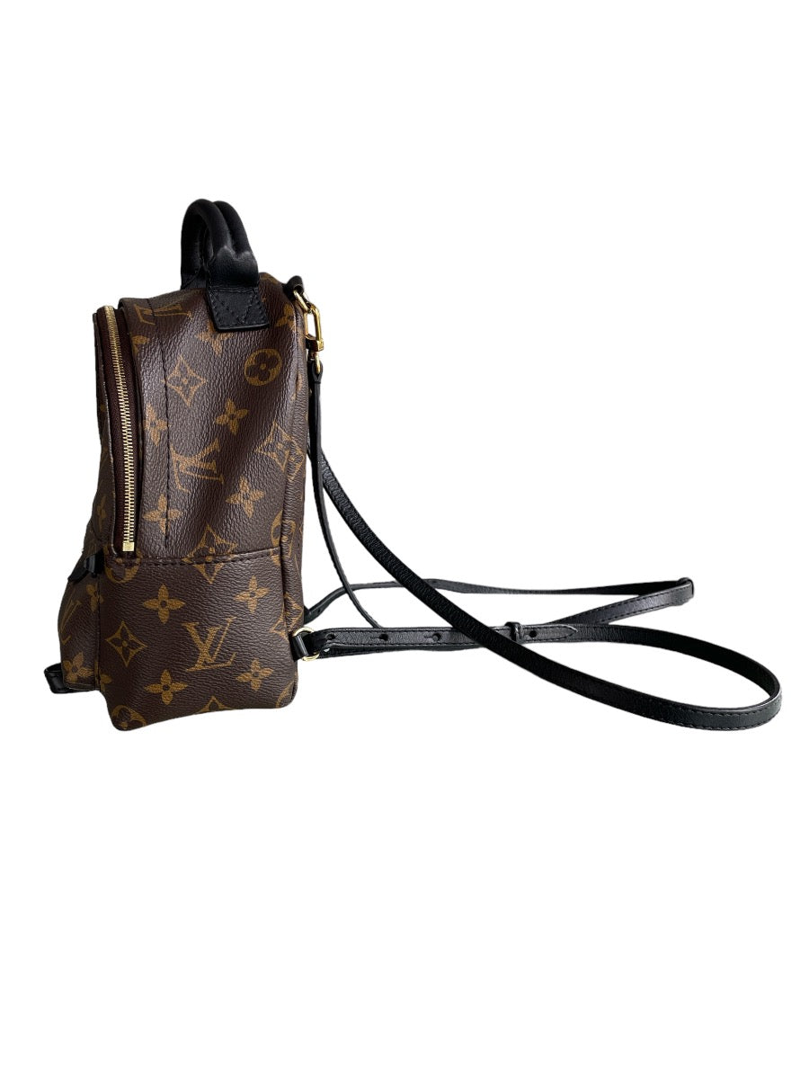 Louis Vuitton Monogram Mini Palm Springs Backpack