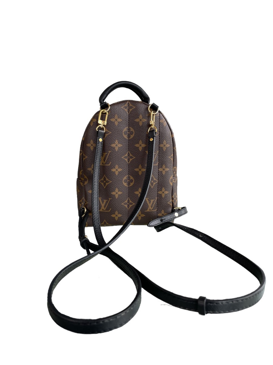 Louis Vuitton Monogram Mini Palm Springs Backpack