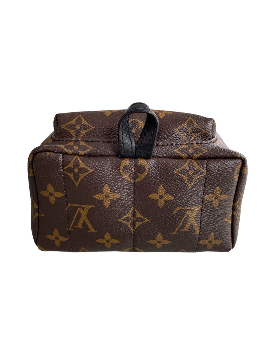 Louis Vuitton Monogram Mini Palm Springs Backpack