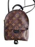 Louis Vuitton Monogram Mini Palm Springs Backpack