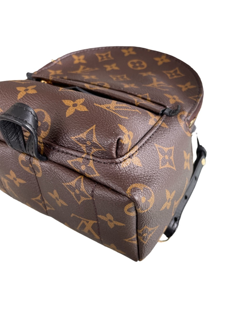 Louis Vuitton Monogram Mini Palm Springs Backpack