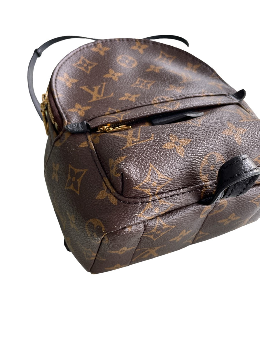 Louis Vuitton Monogram Mini Palm Springs Backpack