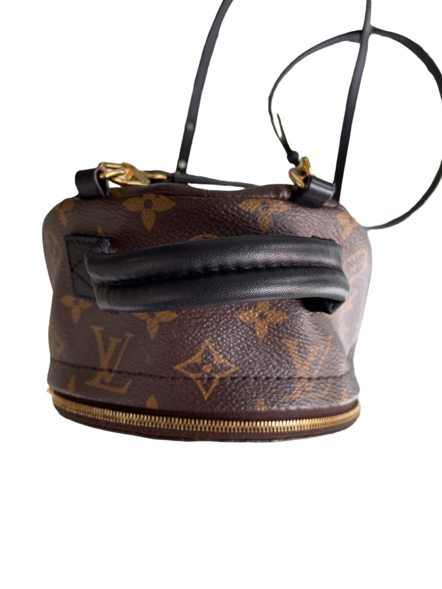 Louis Vuitton Monogram Mini Palm Springs Backpack