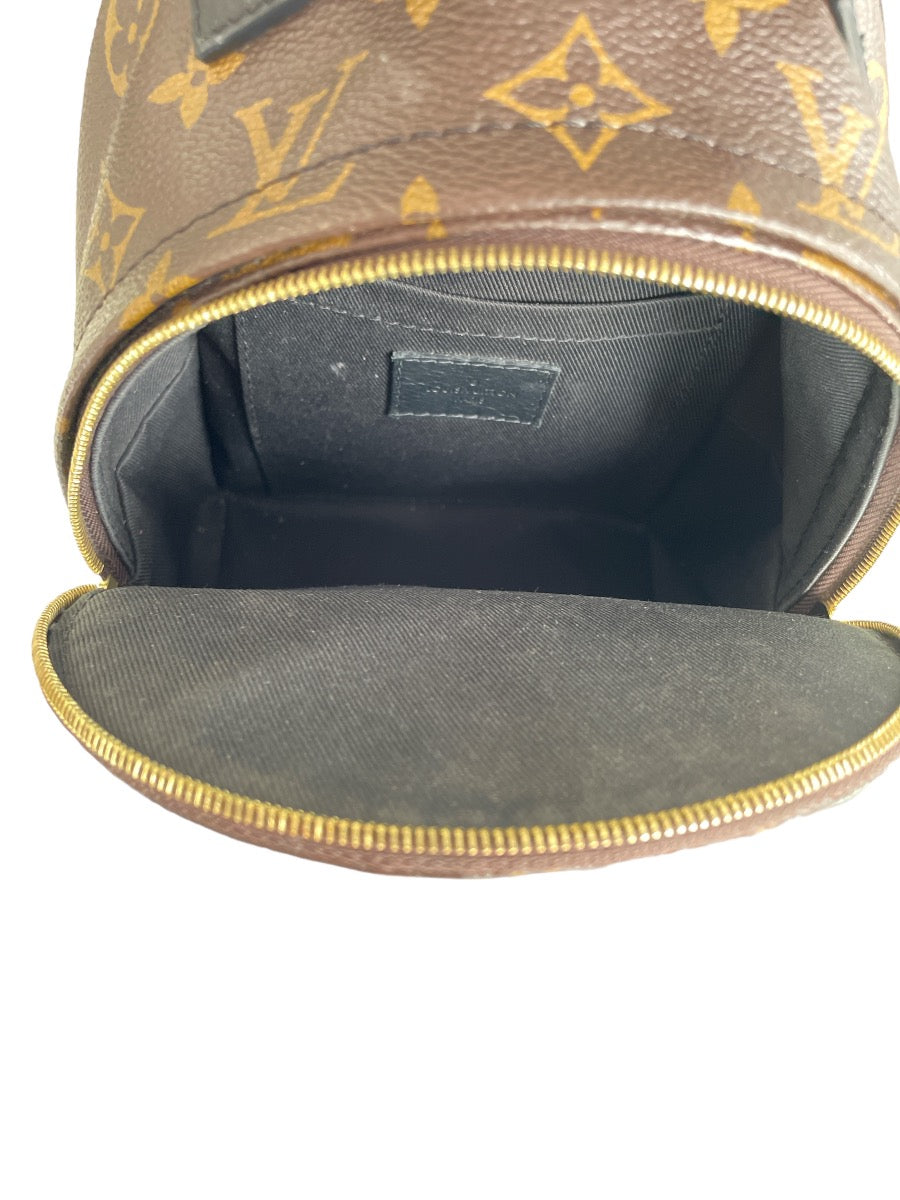 Louis Vuitton Monogram Mini Palm Springs Backpack
