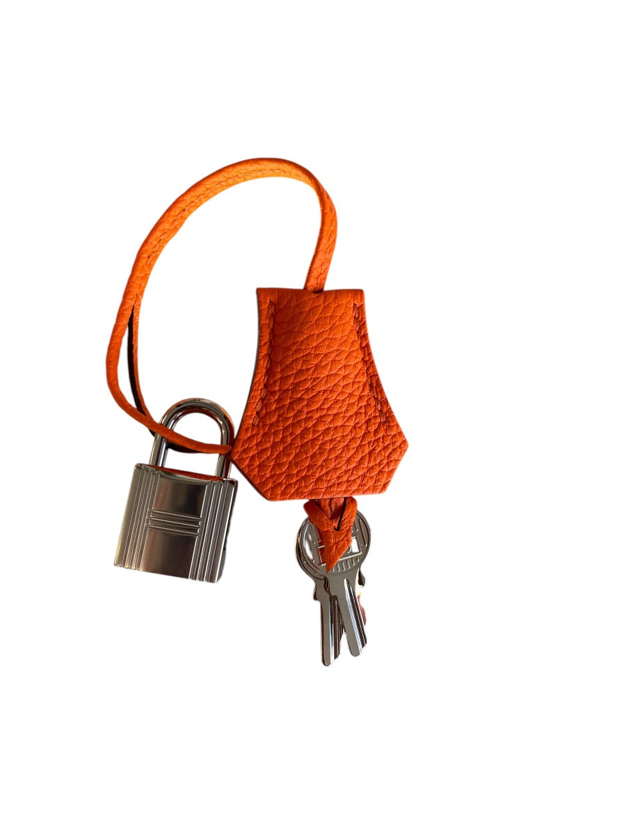 2023 Hermes Togo Orange Minium Birkin 25 WPH
