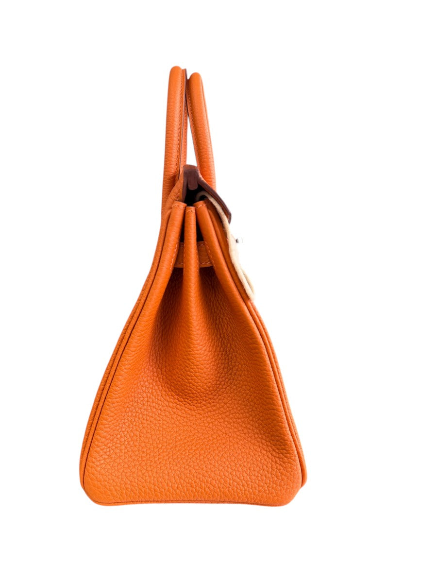 2025 Hermes Orange Birkin 25 PHW