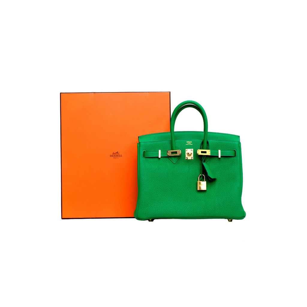 2020 Hermès Bamboo Togo Leather Birkin 25 GHW